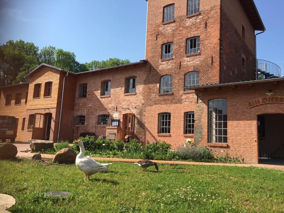 Alte Brennerei Hotell Uckerland Exteriör bild